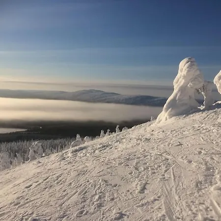 Pikkuriikkinen Yksioe Kaikilla Herkuilla Levin Keskustassa Appartement *
