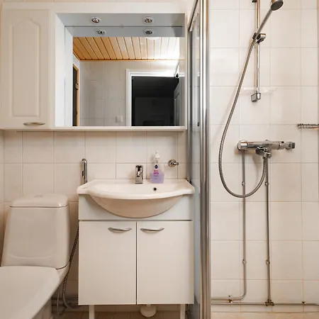 Pikkuriikkinen Yksioe Kaikilla Herkuilla Levin Keskustassa