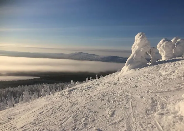 Pikkuriikkinen Yksioe Kaikilla Herkuilla Levin Keskustassa Appartement *