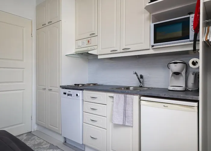 Pikkuriikkinen Yksioe Kaikilla Herkuilla Levin Keskustassa *