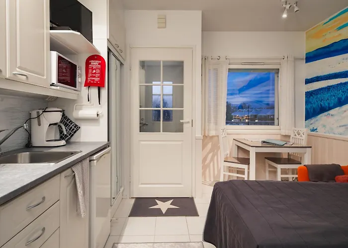 Pikkuriikkinen Yksioe Kaikilla Herkuilla Levin Keskustassa Appartement Levi